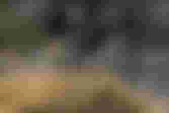 Zwei Rennradfahrer auf einer Straße, seitlich fotografiert mit Bewegungsunschärfe.