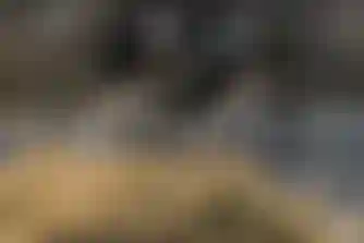 Zwei Rennradfahrer auf einer Straße, seitlich fotografiert mit Bewegungsunschärfe.