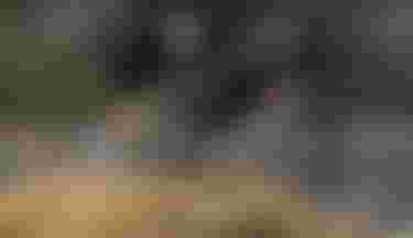 Zwei Rennradfahrer auf einer Straße, seitlich fotografiert mit Bewegungsunschärfe.