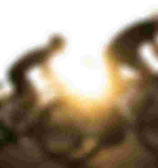 SQlab Road Lifestyle