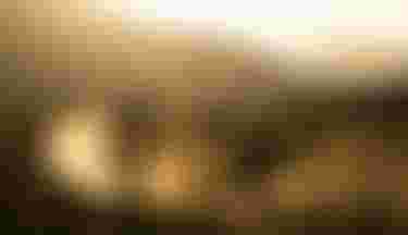 SQlab MTB EMTB Lifestyle