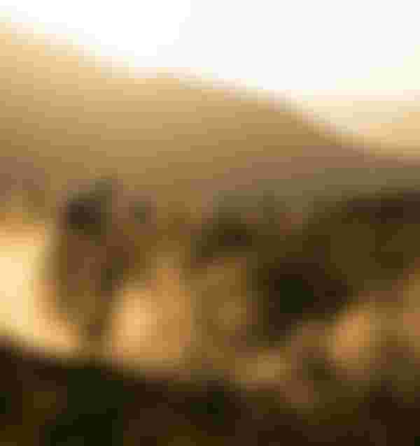 SQlab MTB EMTB Lifestyle