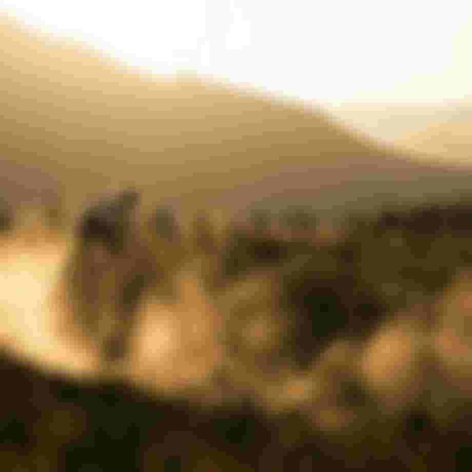 SQlab MTB EMTB Lifestyle