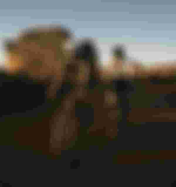 SQlab Gravel Lifestyle