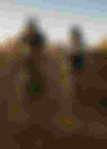 SQlab Gravel Lifestyle