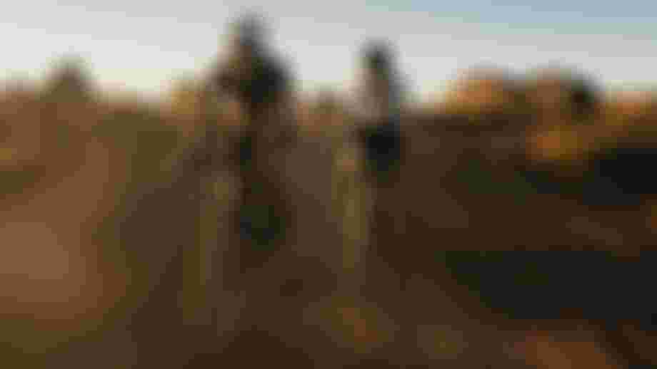 SQlab Gravel Lifestyle