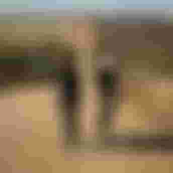 SQlab Gravel Lifestyle