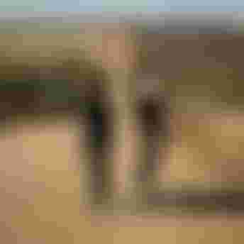 SQlab Gravel Lifestyle