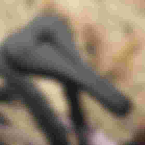 SQlab Trail 611 active