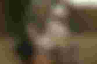 SQlab Trekking Lifestyle