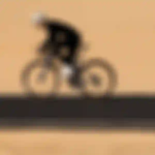 A cyclist wearing a helmet and black attire rides a sleek bicycle on a smooth road through a desert landscape.