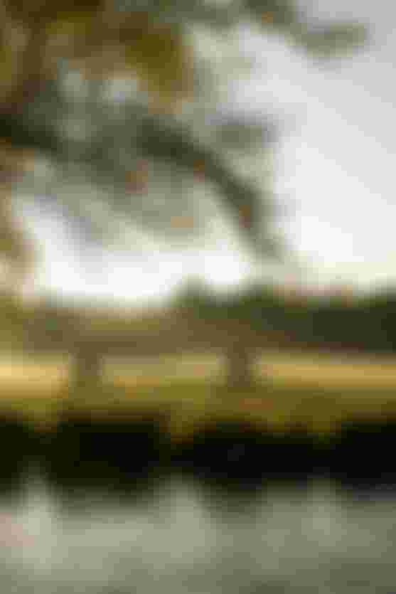 SQlab Trekking Lifestyle