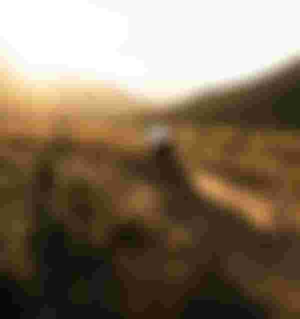 SQlab MTB EMTB Lifestyle