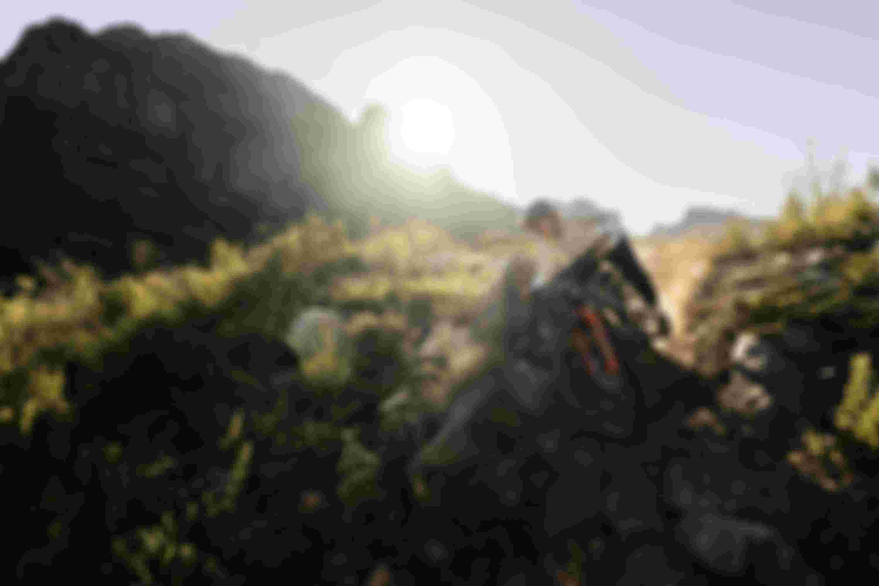 SQlab MTB EMTB Lifestyle