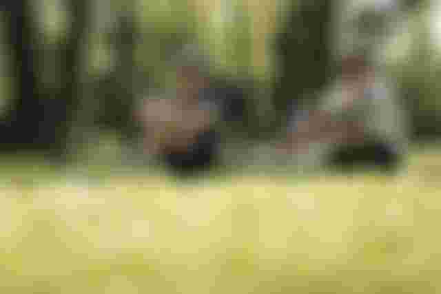 SQlab Trekking Lifestyle