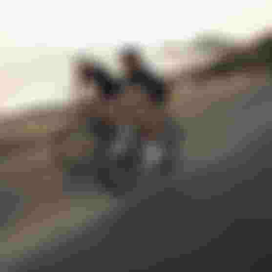 SQlab Road Lifestyle