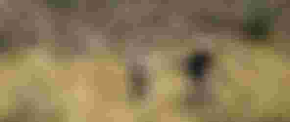 SQlab Trail Lifestyle