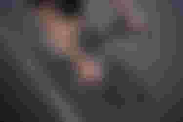 SQlab 312 812