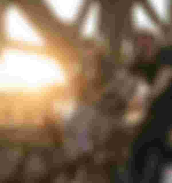 SQlab City Lifestyle