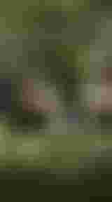 SQlab Trekking Lifestyle