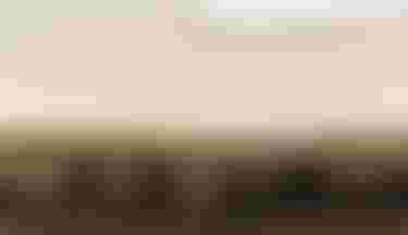 SQlab Gravel Lifestyle