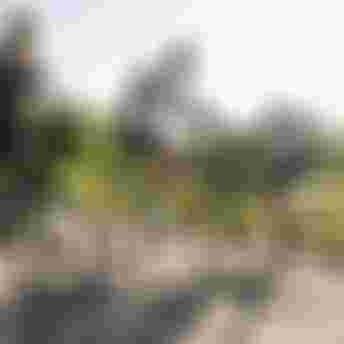 SQlab Trekking Lifestyle