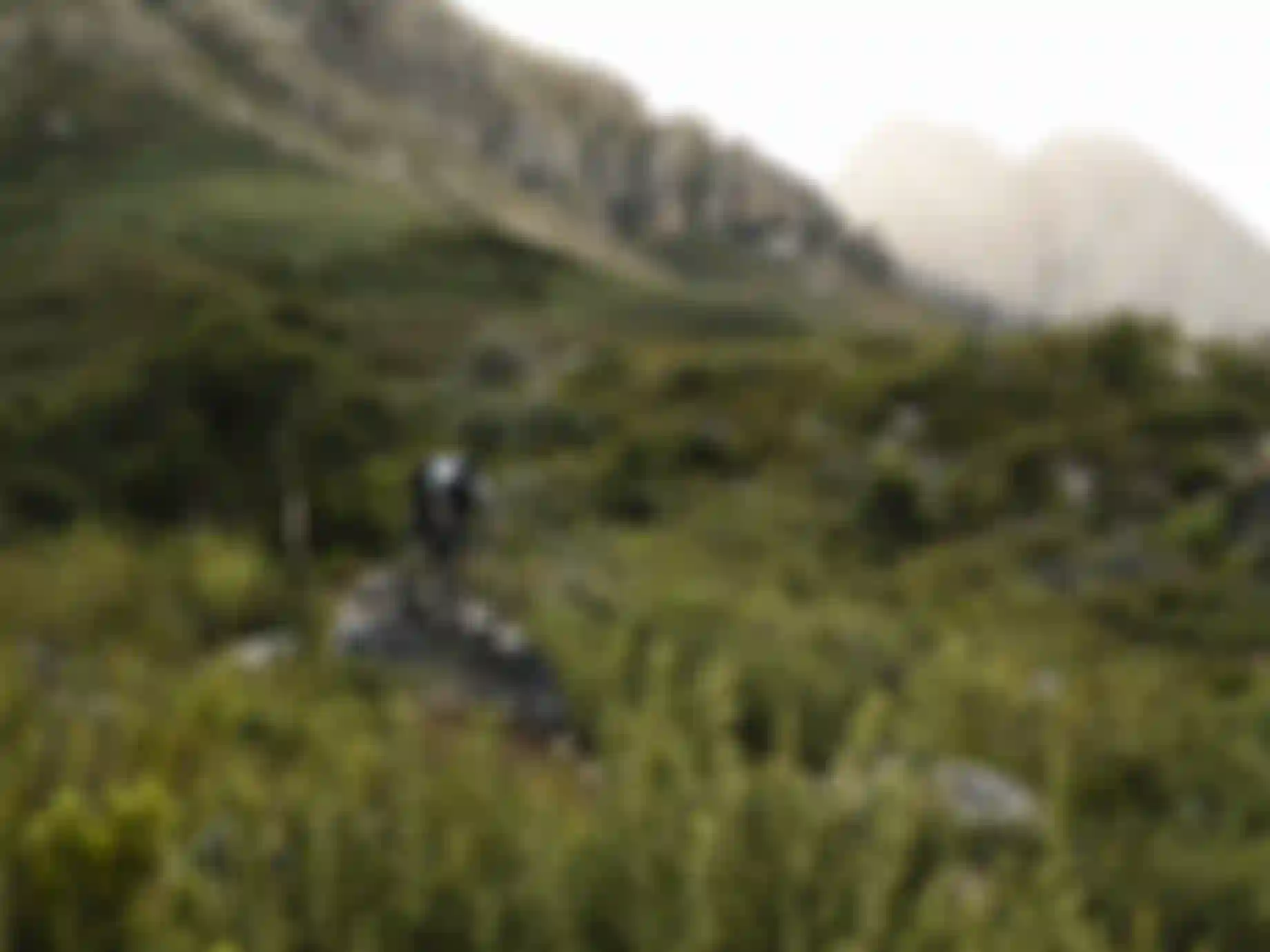 SQlab MTB EMTB Lifestyle