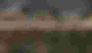 SQlab Road Lifestyle