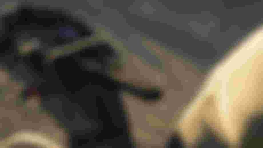 _DSC2246_photo_BartekWolinski_@wolisphoto