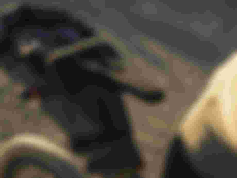 _DSC2246_photo_BartekWolinski_@wolisphoto