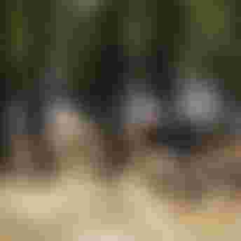 SQlab Trail Lifestyle