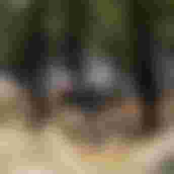 SQlab Trail Lifestyle