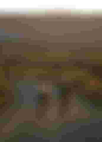 SQlab Gravel Lifestyle