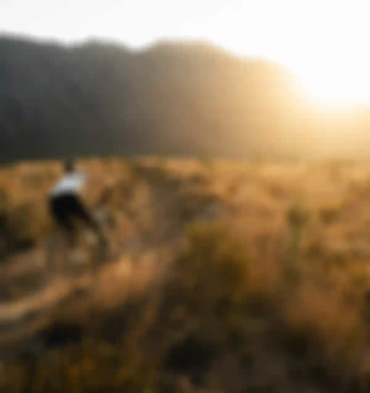 SQlab MTB EMTB Lifestyle