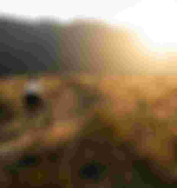 SQlab MTB EMTB Lifestyle