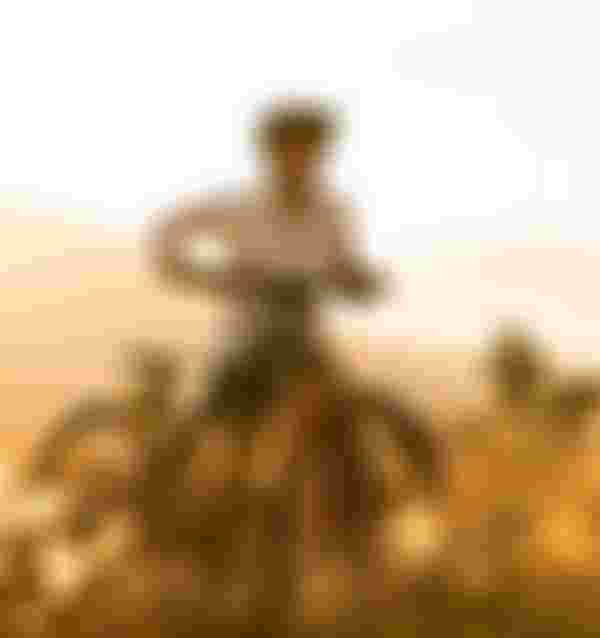 SQlab MTB EMTB Lifestyle