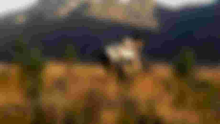 SQlab MTB EMTB Lifestyle