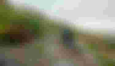 sqlabsimplestagemtbmadeira2025byUrsGolling0219
