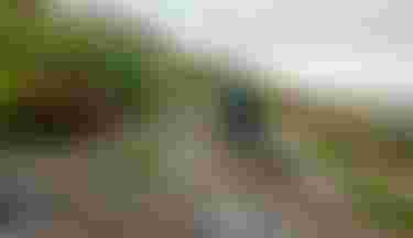 sqlabsimplestagemtbmadeira2025byUrsGolling0219