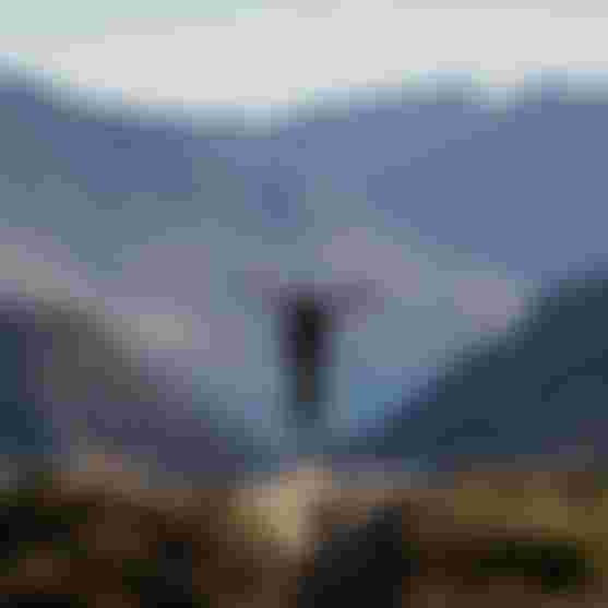 A mountain biker rides down a trail, arms outstretched, against a backdrop of rugged mountains and a distant lake under a clear sky.