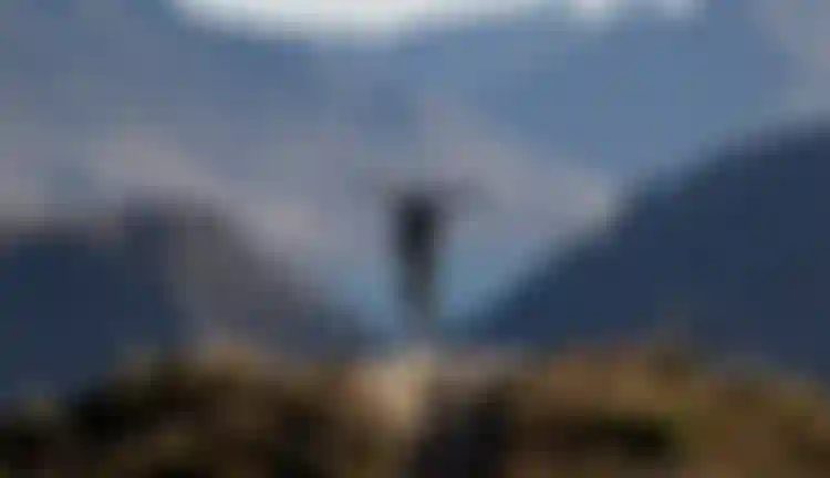 A mountain biker rides down a trail, arms outstretched, against a backdrop of rugged mountains and a distant lake under a clear sky.