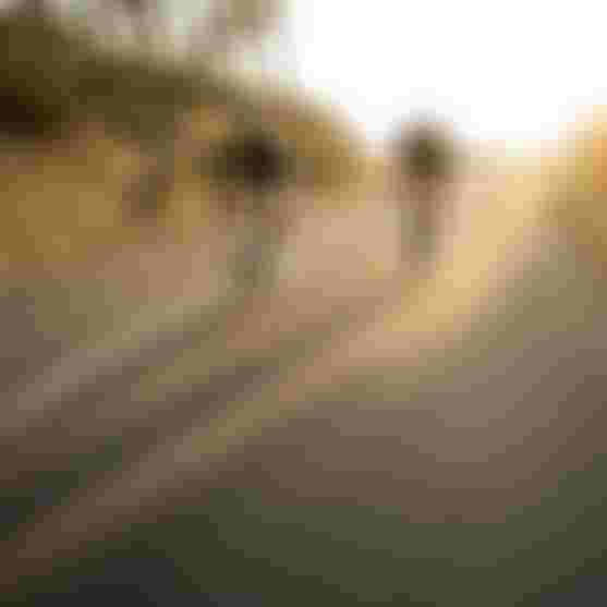 SQlab Road Lifestyle