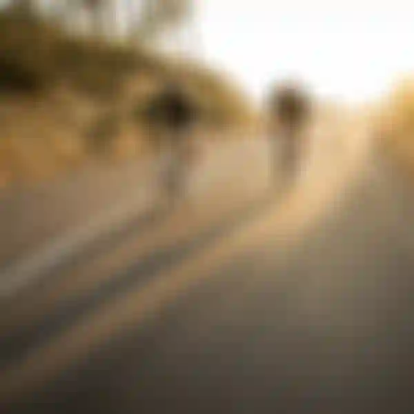 SQlab Road Lifestyle