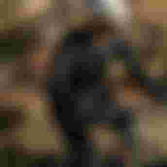 SQlab-MTB-EMTB-Lifestyle