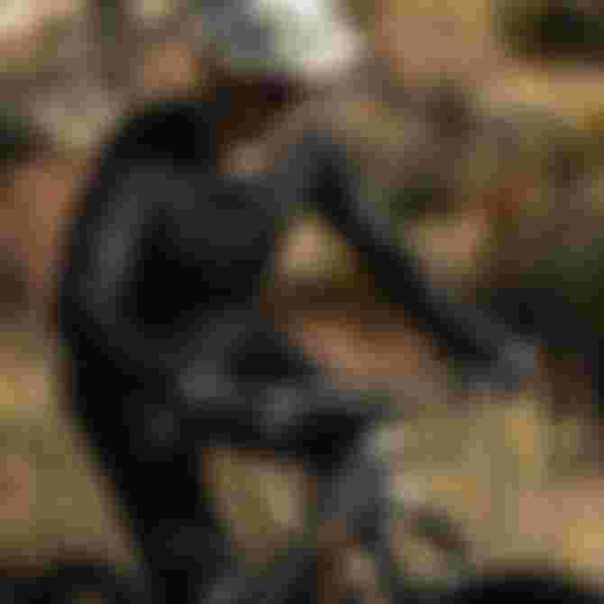 SQlab-MTB-EMTB-Lifestyle