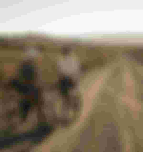 SQlab Gravel Lifestyle