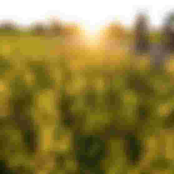 SQlab Trekking Lifestyle