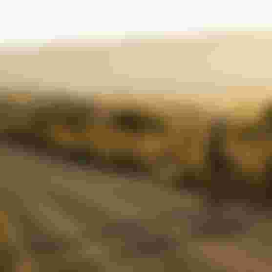 SQlab Gravel Lifestyle