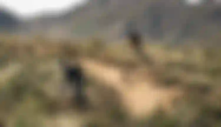 SQlab-MTB-EMTB-Lifestyle