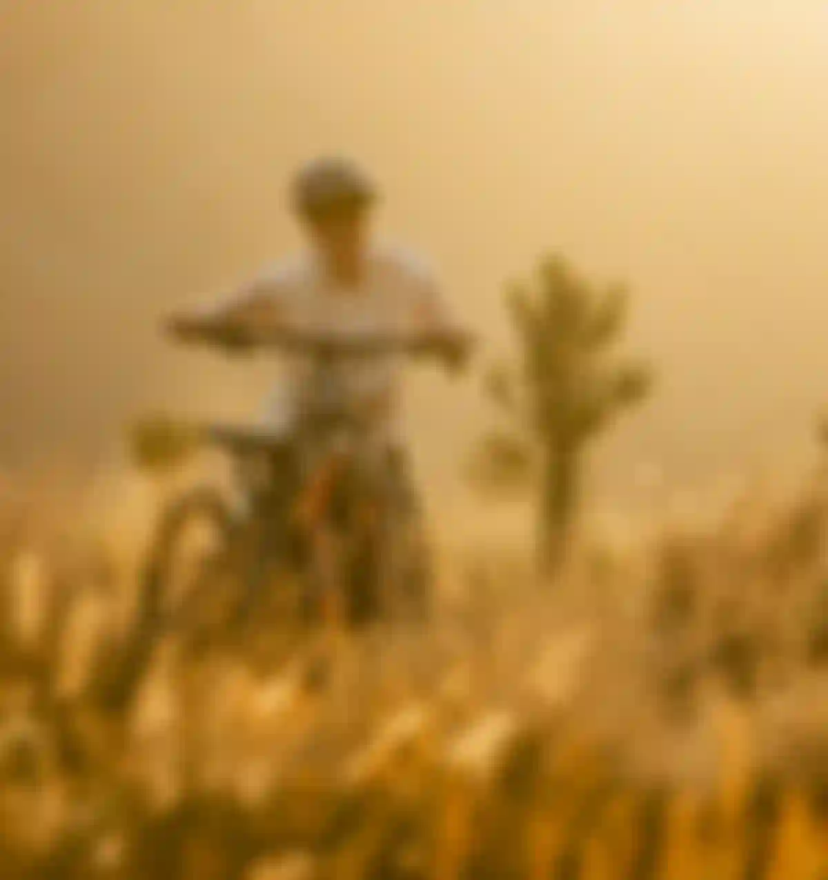 SQlab MTB EMTB Lifestyle